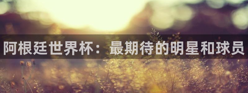 世界杯足球直播：阿根廷世界杯：最期待的明星和球员