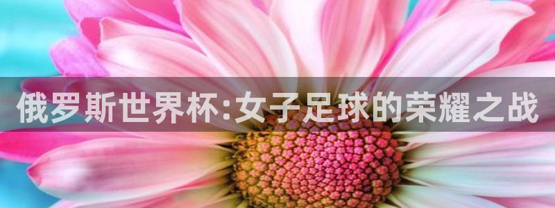 亚洲杯足球：俄罗斯世界杯:女子足球的荣耀之战