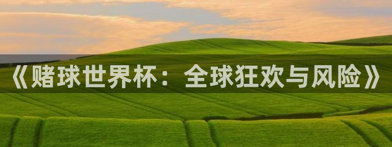 世界杯第一场比赛：《赌球世界杯：全球狂欢与风险》