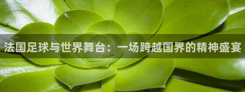 今年世界杯：法国足球与世界舞台：一场跨越国界的精神盛宴