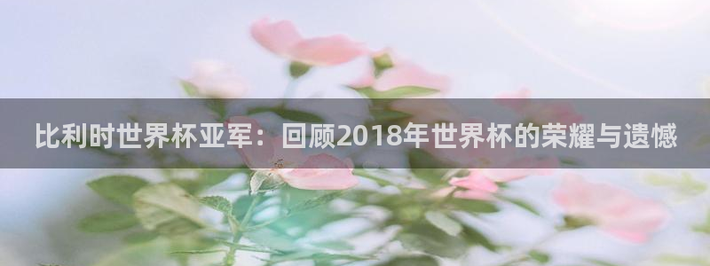 2026世界杯赛程时间表最新：比利时世界杯亚军：回顾2018年世界杯的荣耀与遗憾