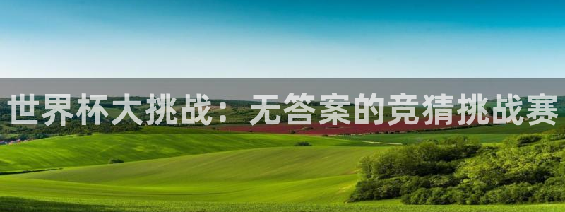 世界杯足球赛2026：世界杯大挑战：无答案的竞猜挑战赛