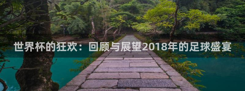 欧洲世界杯预选赛：世界杯的狂欢：回顾与展望2018年的足球盛宴