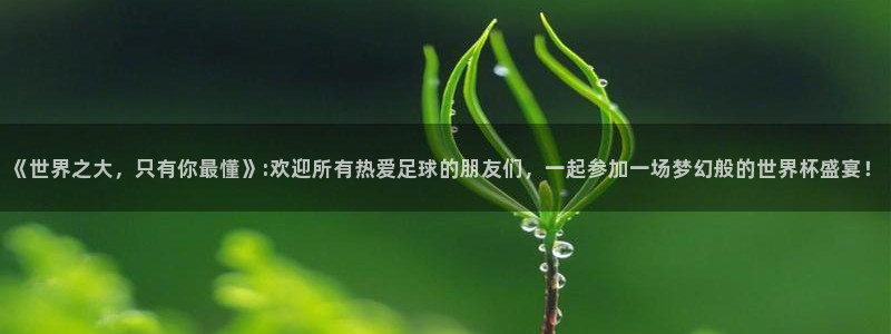 足球比分直播世界杯：《世界之大，只有你最懂》:欢迎所有热爱足球的朋友们，一起参加一场梦幻般的世界杯盛宴！