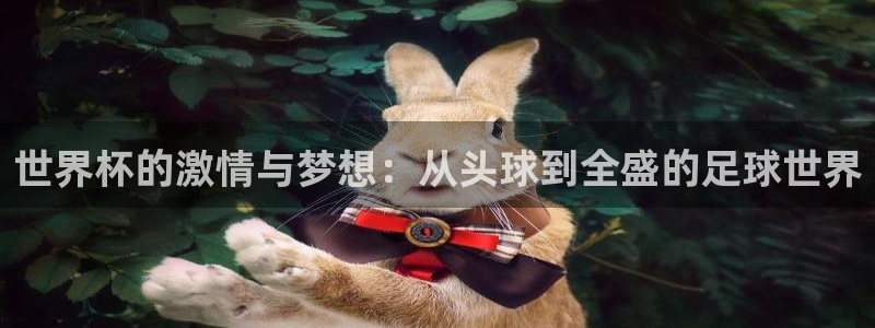 亚洲杯足球：世界杯的激情与梦想：从头球到全盛的足球世界