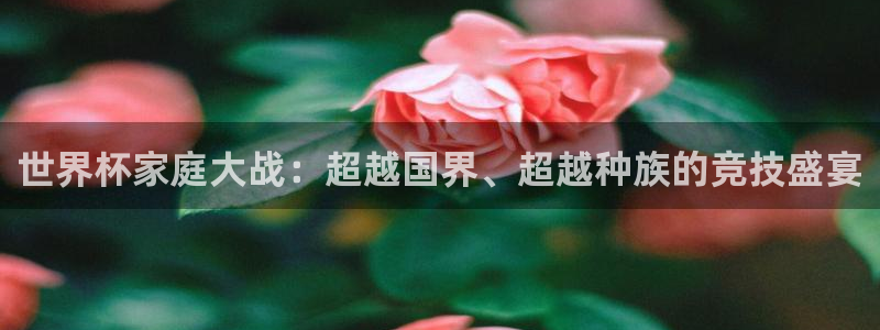 世界杯直播网站：世界杯家庭大战：超越国界、超越种族的竞技盛宴
