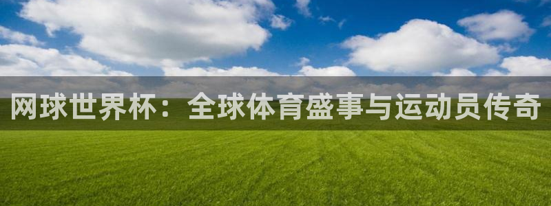 2026世界杯赛程：网球世界杯：全球体育盛事与运动员传奇