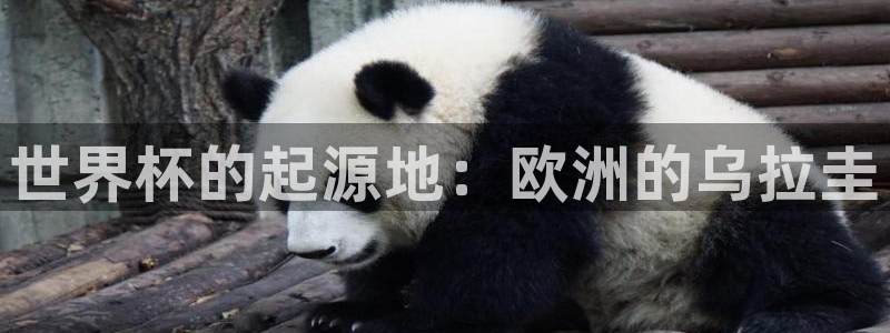 世界杯预选赛规则：世界杯的起源地：欧洲的乌拉圭