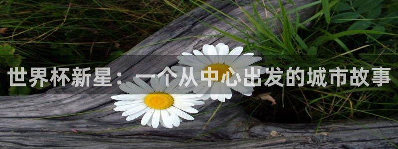 2026男足世界杯赛程：世界杯新星：一个从中心出发的城市故事
