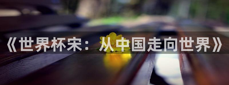 世界杯赛程时间表：《世界杯宋：从中国走向世界》
